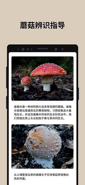蘑菇识别扫一扫2023
