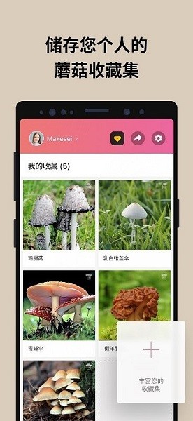 蘑菇识别扫一扫2023  v2.9.17图1