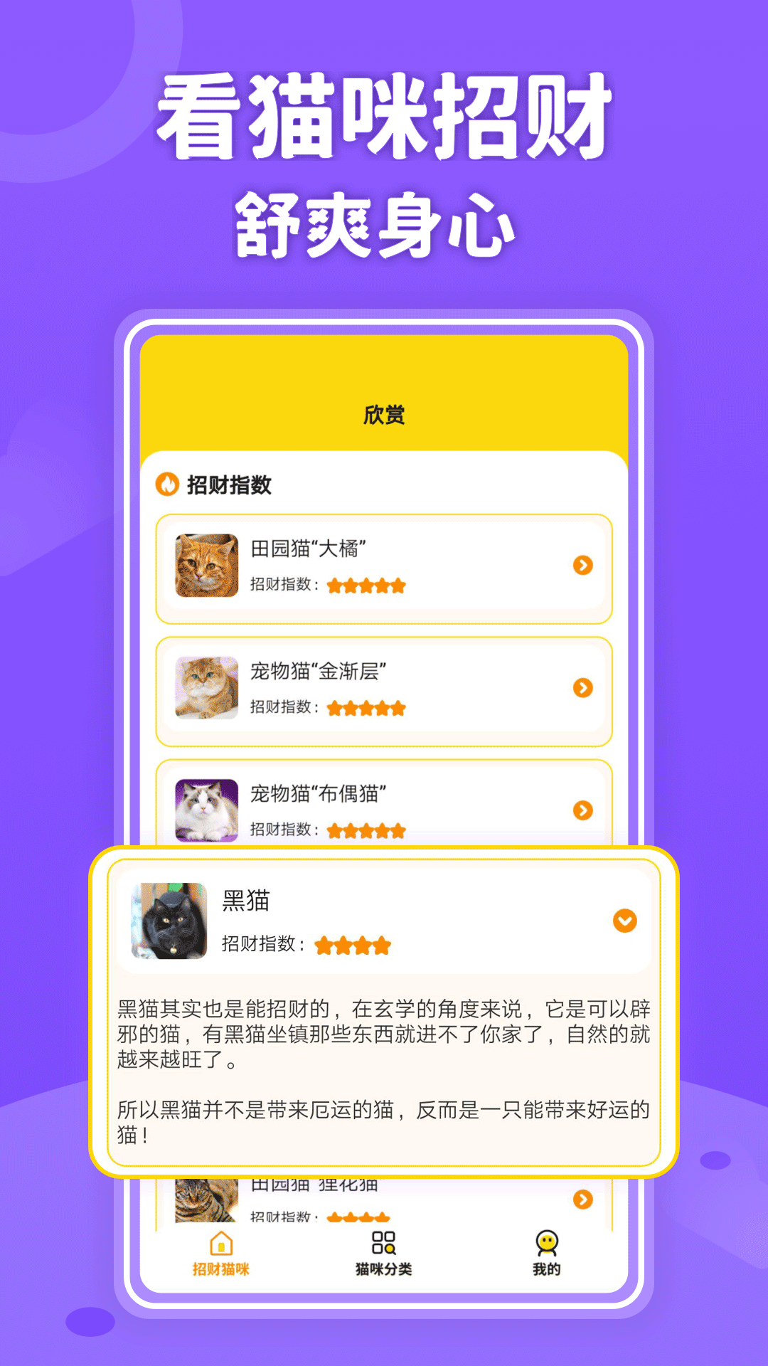 招财进猫  v350.10图1