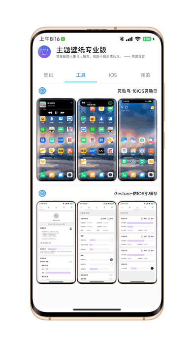 主题壁纸专业版ios