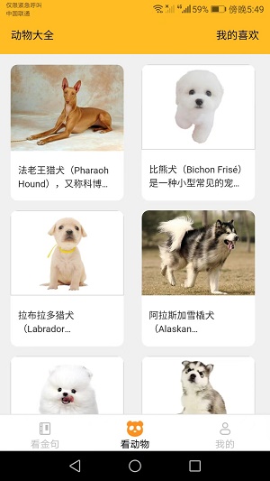 口袋乐看短剧斩龙  v1.6.0图2