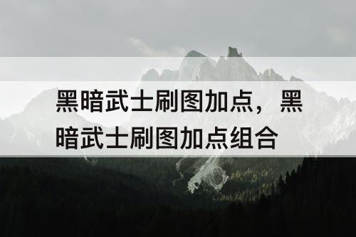 黑暗武士刷图加点，黑暗武士刷图加点组合
