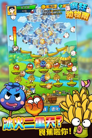 瘋狂動物雨  v1.2.0圖3