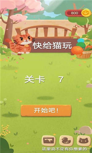 快給貓玩  v1.0圖2