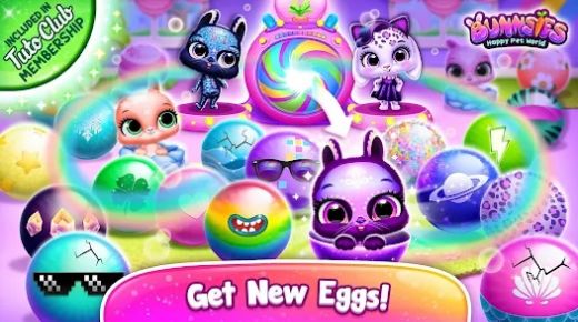 歡樂寵物世界  v1.0.63圖1