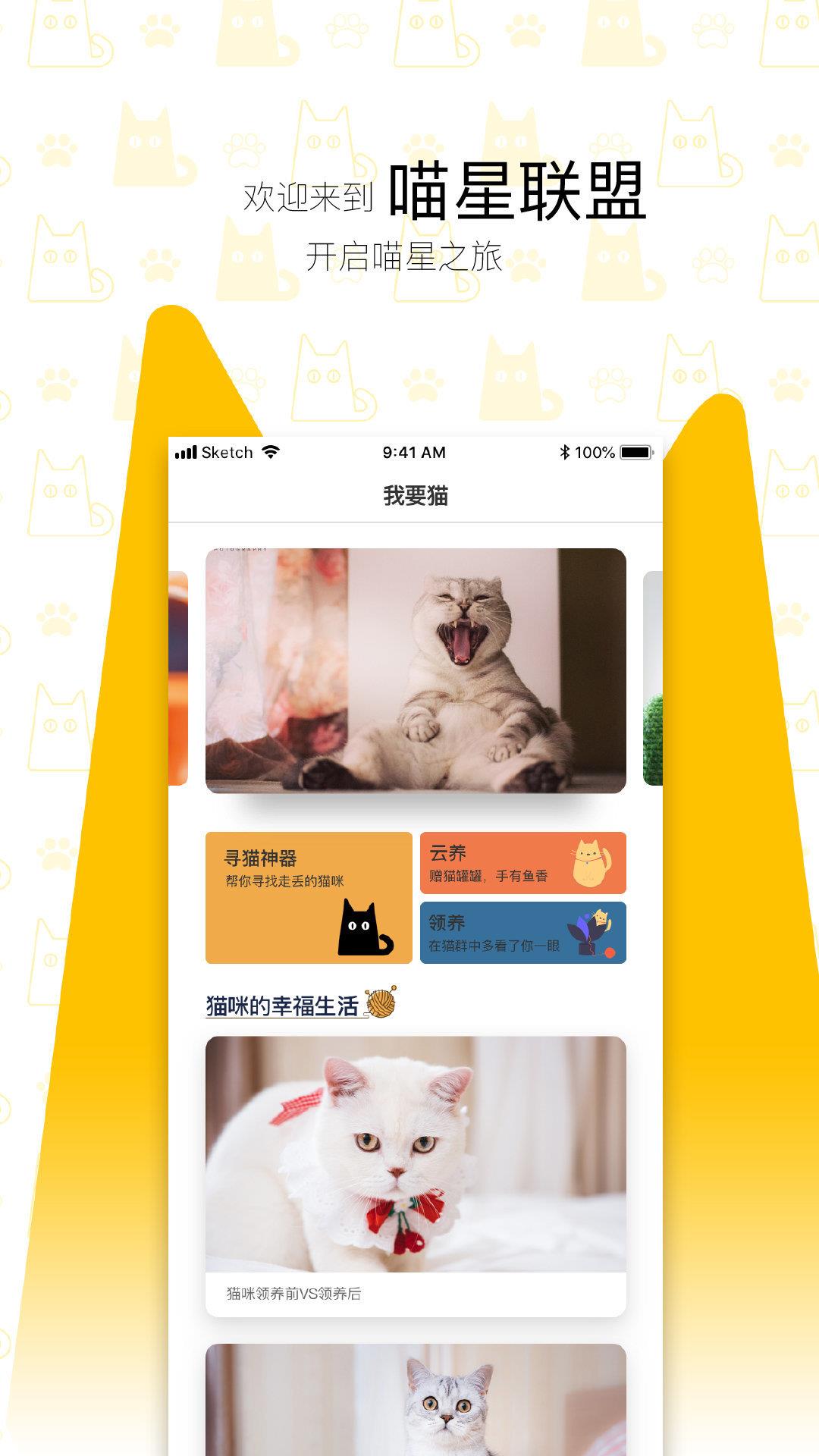 我要猫  v2.4.1图2