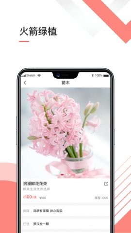 火箭绿植  v1.0.0图2