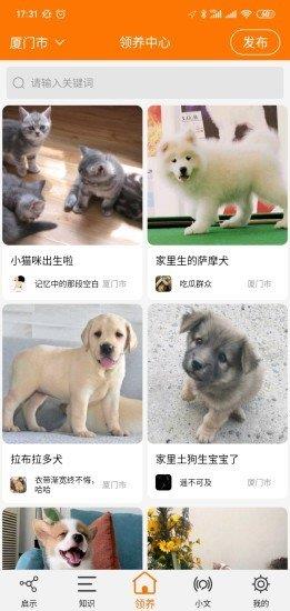 寵物公益  v3.1圖1