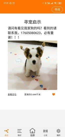 寵物公益
