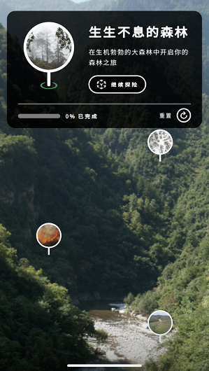 WWF森林2024  v1.0.0图1