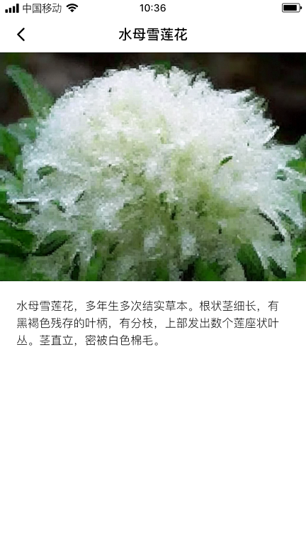 云鼎雪蓮2024  v1.0.0圖2