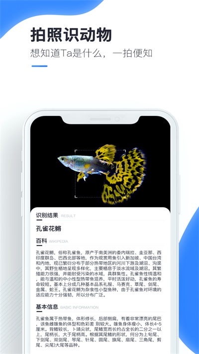 百科扫描王手机版下载免费安装苹果  v1.0.0图1