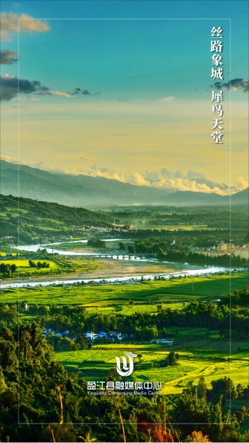 盈江云手机版  v1.0.4图2