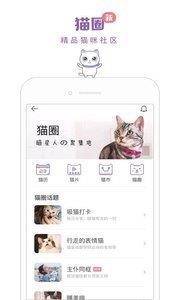 一日貓  v2.4.7圖3