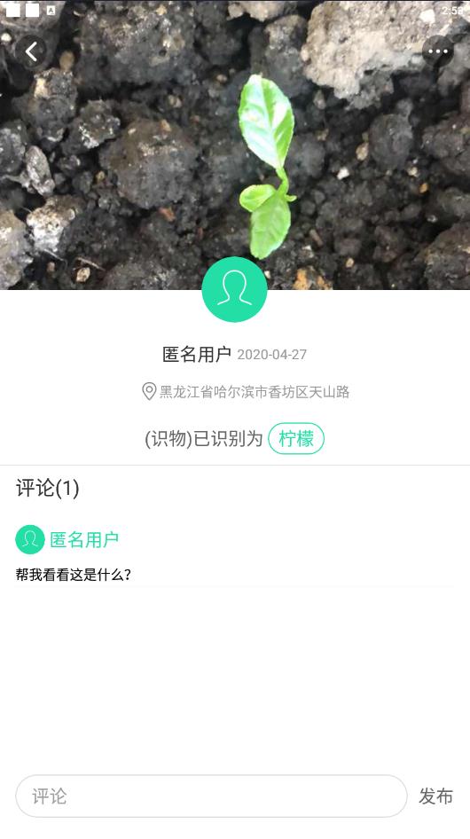 識(shí)別花草樹木的  v1.4.17圖3