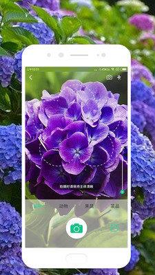識(shí)別花草樹木的