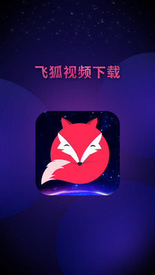 飞狐视频下载器app  v3.5.0图3