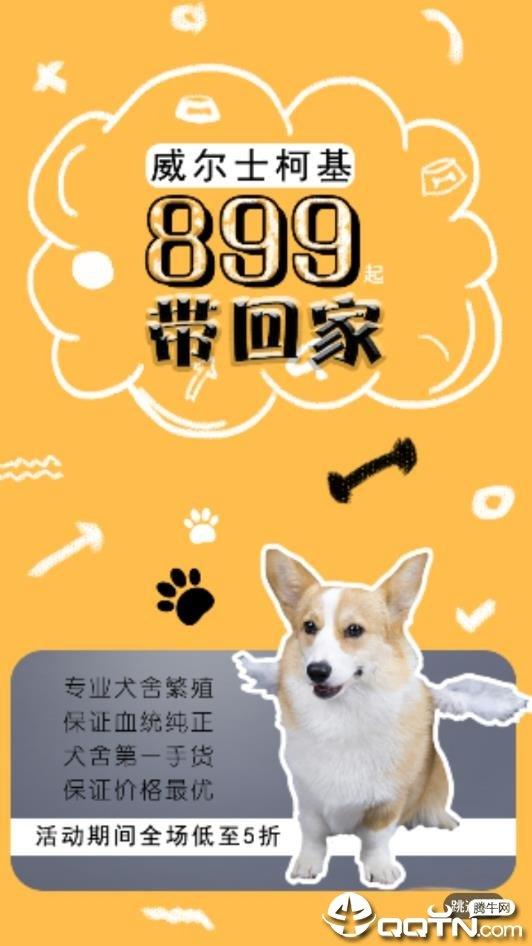 寵狐  v4.5.4圖3