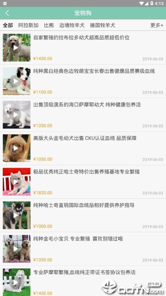 寵狐
