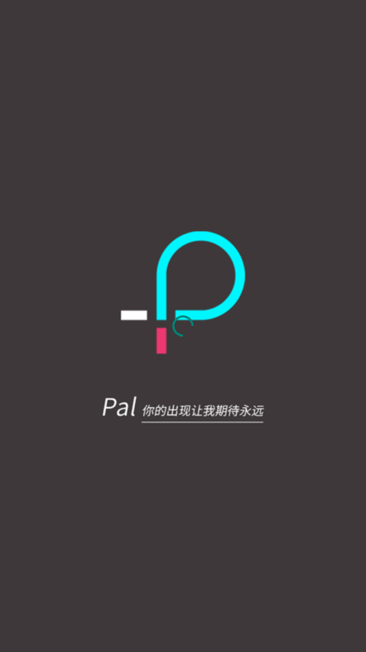 pal软件