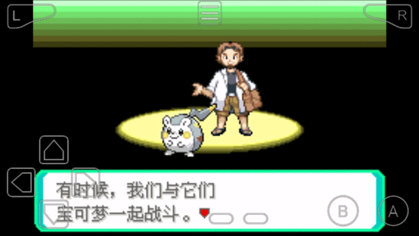 口袋妖怪白金汉化破解版GBA