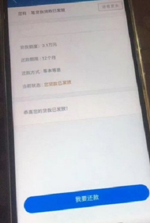 金蝶效贷手机版下载官网  v9.0.95图1