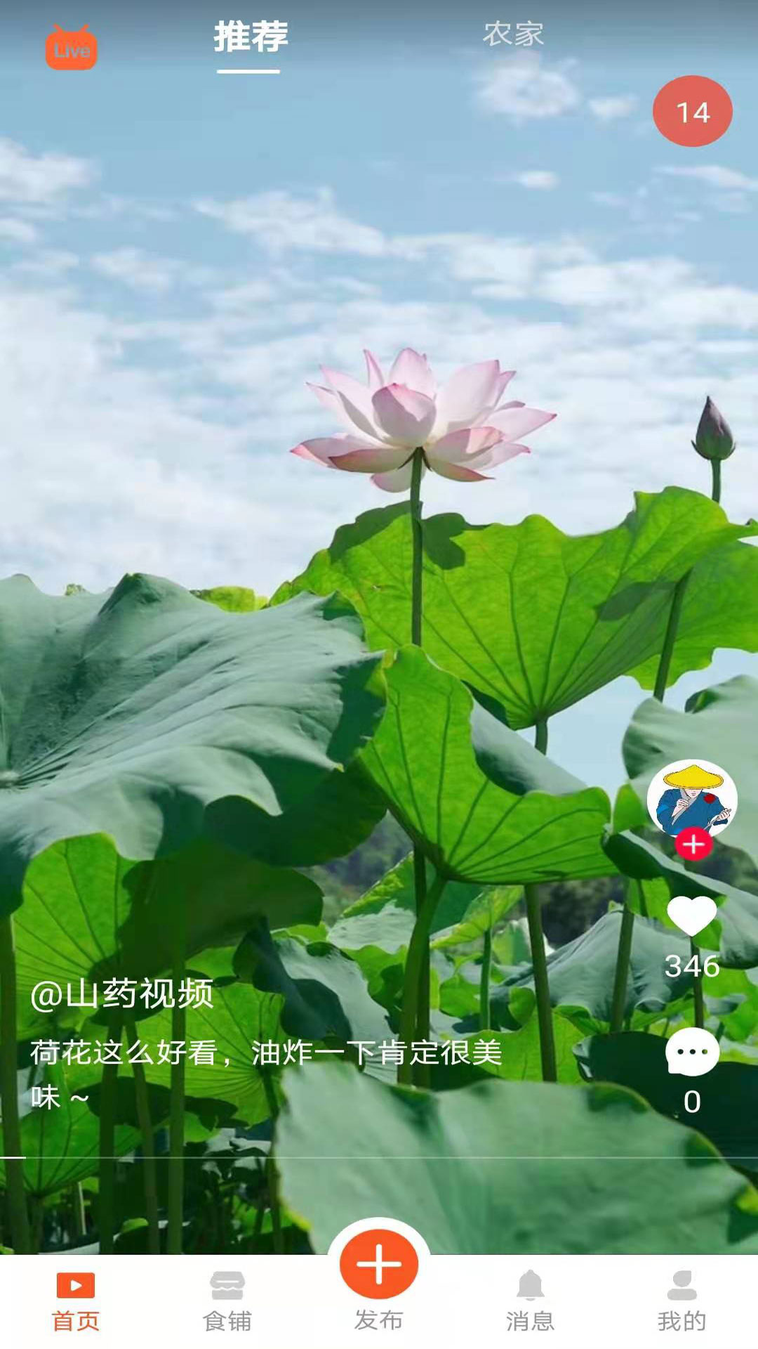 食客江湖安卓版  v1.4.1图3