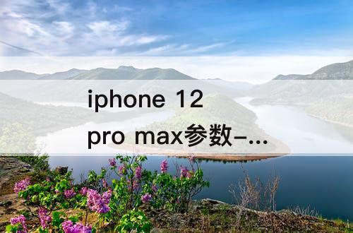 iphone 12 pro max参数-iphone 12 pro max参数图