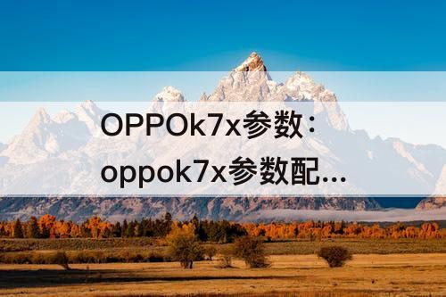 OPPOk7x参数：oppok7x参数配置