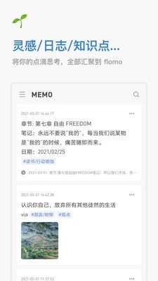 flomo下载官方