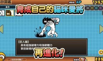 猫咪大战争英文版无限猫罐头  v6.2.0图2