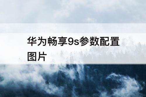 华为畅享9s参数配置图片