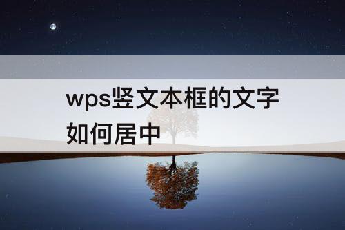 wps竖文本框的文字如何居中