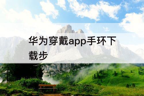 华为穿戴app手环下载步