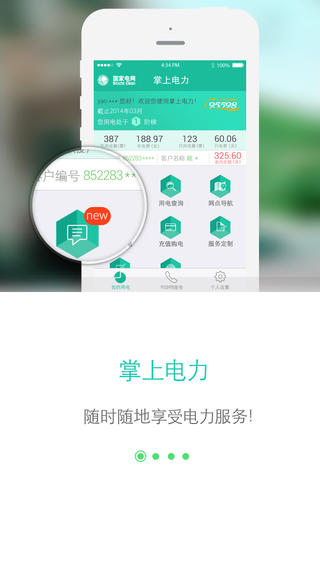 网上国网电网交费下载