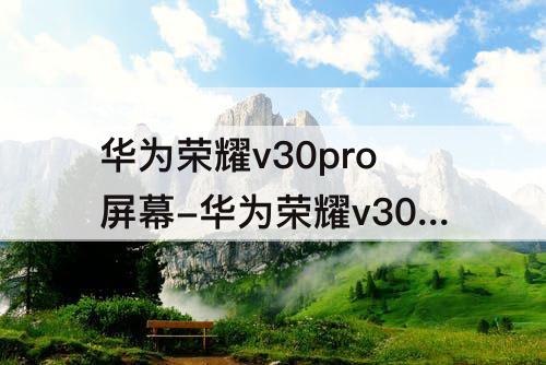 华为荣耀v30pro屏幕-华为荣耀v30pro屏幕刷新率